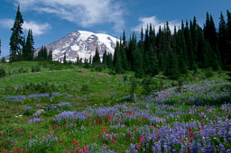 kook album alt test two
 Hero