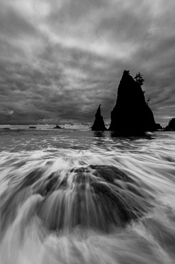 standard album
 Hero